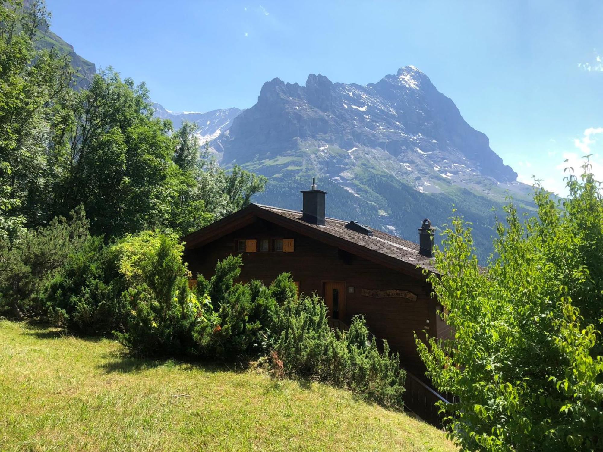 Apartment Chalet Sunneblick By Interhome Grindelwald Exterior foto
