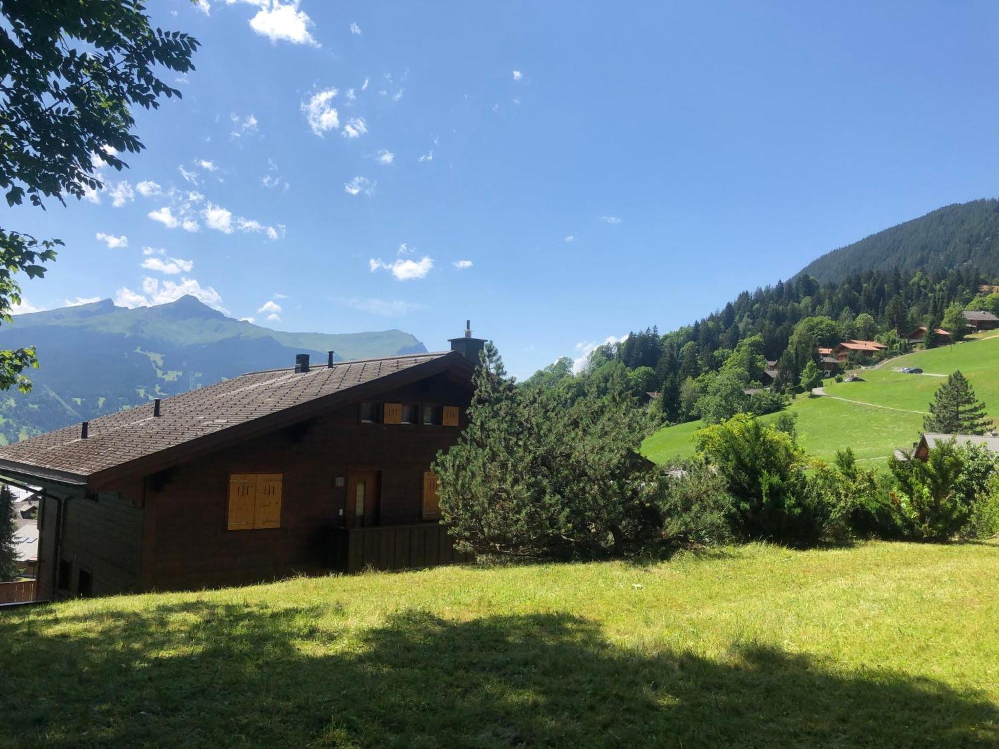 Apartment Chalet Sunneblick By Interhome Grindelwald Exterior foto